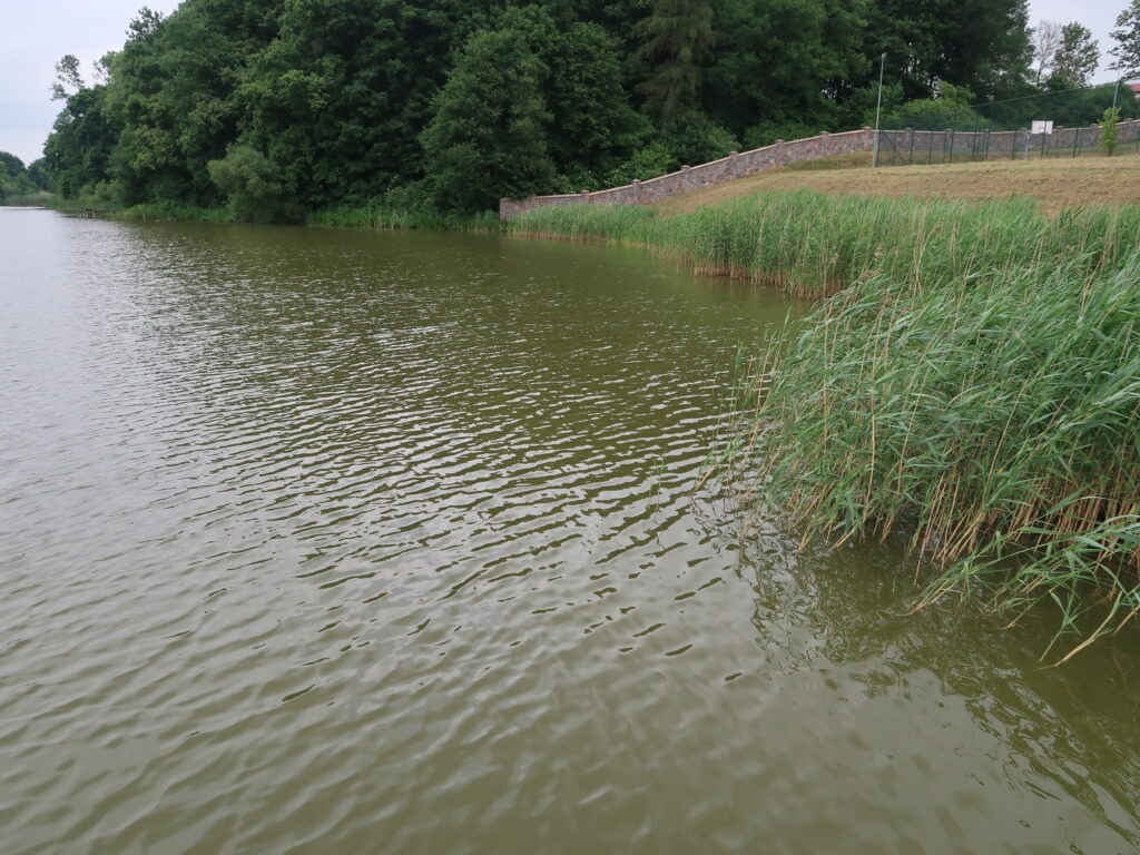 Jezioro Grzybiny